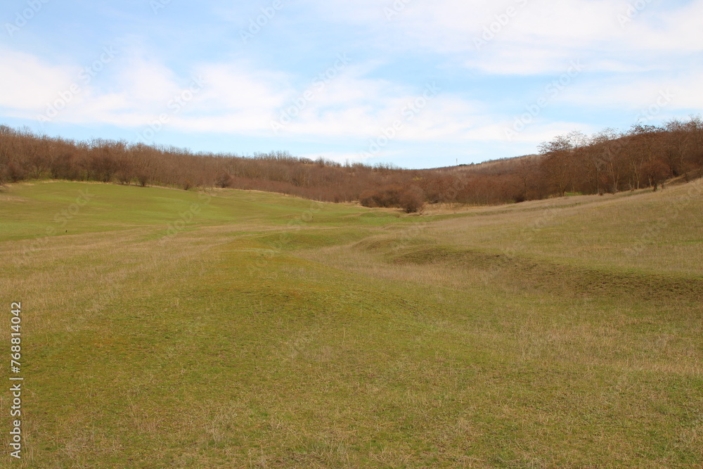 Fototapeta premium A grassy field with white text