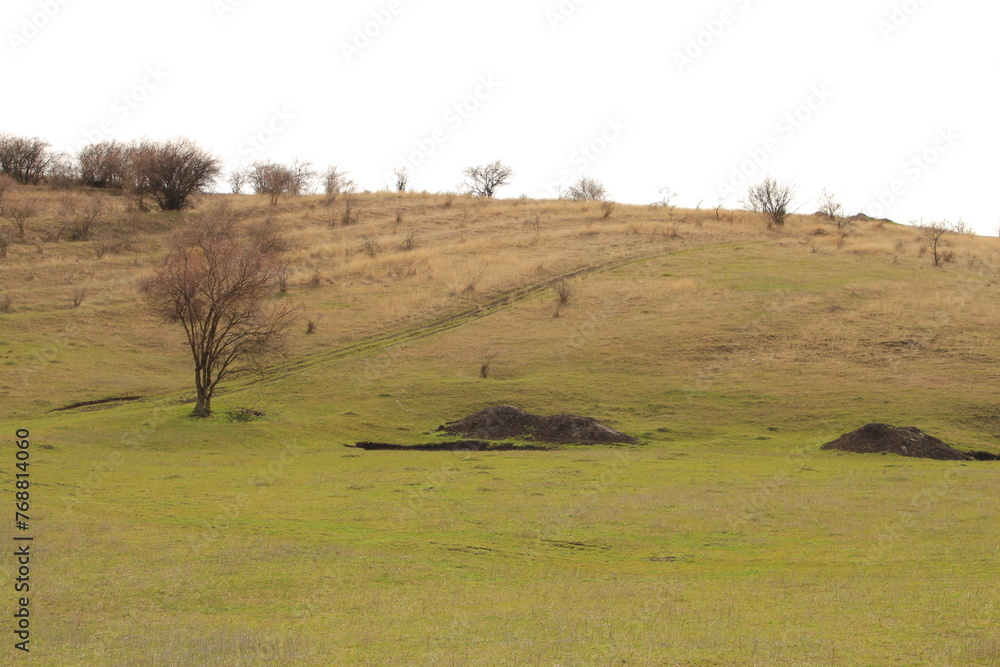 Obraz premium A grassy field with a sign