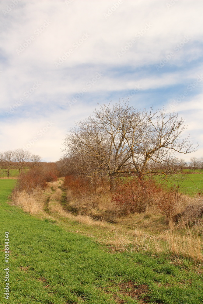 A field with trees and a bridge in the background A field with trees and a bridge in the background