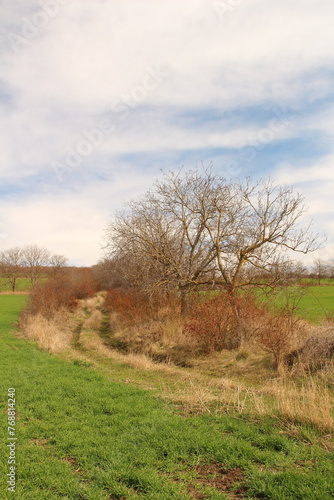 A field with trees and a bridge in the background