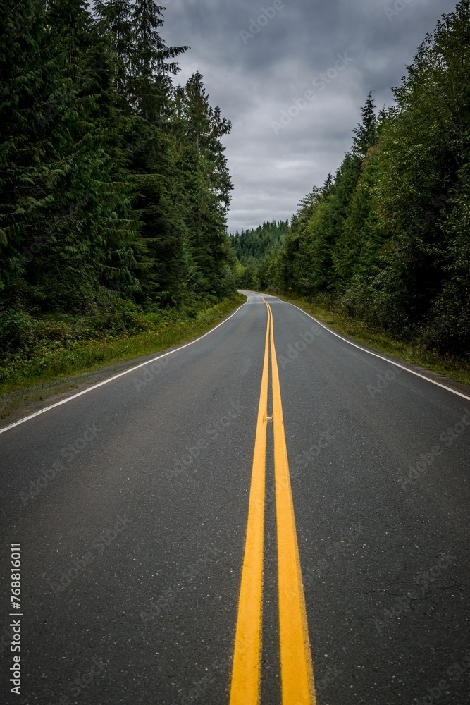 Scenic road with a bright yellow centerline winding through a lush forest.