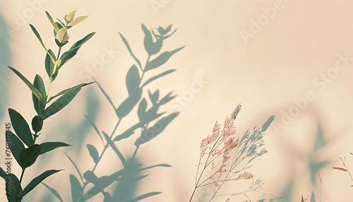 Minimalist background with plants and their shadows  soft pastel colors  natural lighting  shot in the style of Canon EOS R5