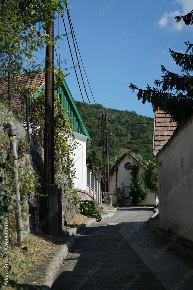 Scenic view of a quaint street with traditional homes in Visegrad, Hungary