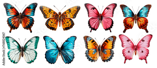 A collection of colorful butterfly illustrations displayed against a grey background