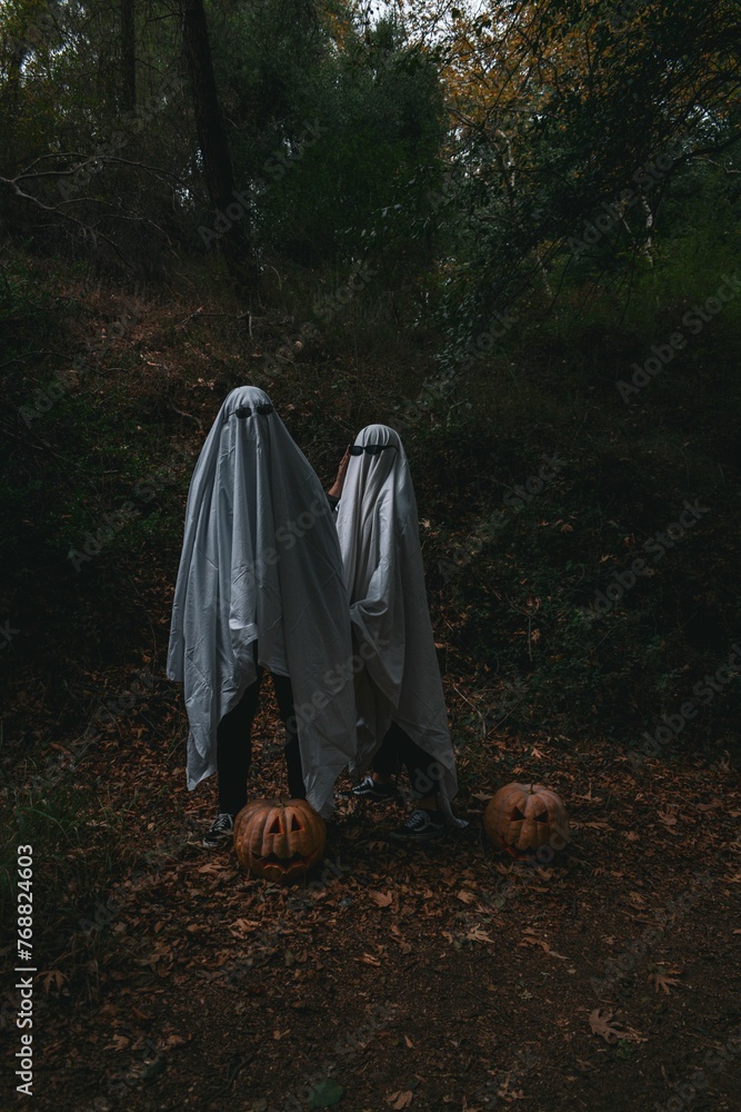 two people covered in blankets and pumpkins walking through the forest two people covered in blankets and pumpkins walking through the forest