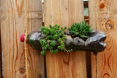 Closeup of green plants in a bottle vase in Mannheim, Germany