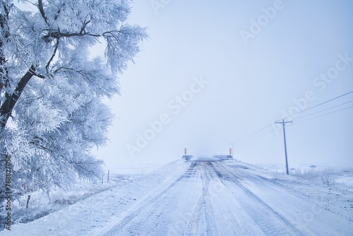 Canvas Print Foggy road with a bridge and frost-covered trees and power lines