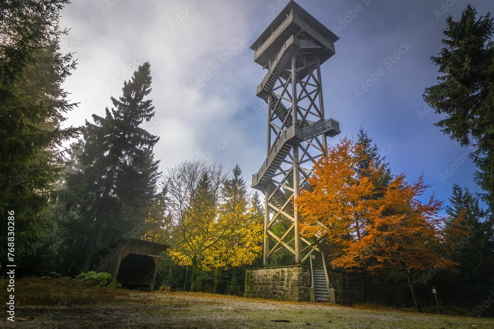 Leaves in the forest with a lookout tower in autumn