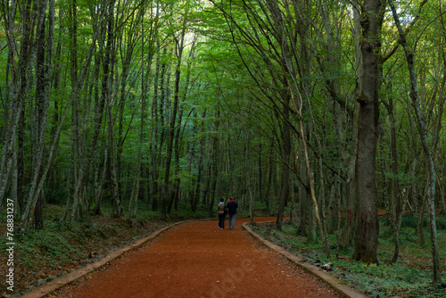 A couple walking on the jogging trail in a forest