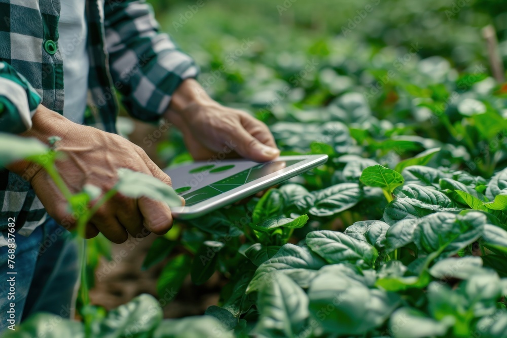 a farmer using a white screen mockup tablet to monitor crop growth and soil health