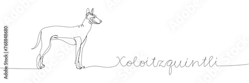 Xoloitzcuintli dog breed, Mexican hairless dog, national dog of Mexico one line art. Continuous line drawing of friend, doggy, pet, animal, family, canine with inscription, lettering, handwritten.