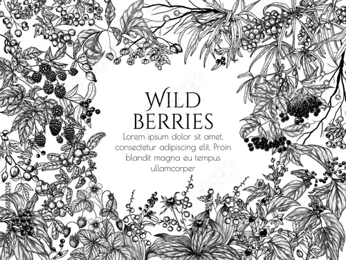 Vector frame of edible and poisonous wild berries. Cowberry, sea buckthorn, rose hips, ligustrum, hawthorn, elderberry, paris quadrifolia, blackberry, euonymus, belladonna, strawberry