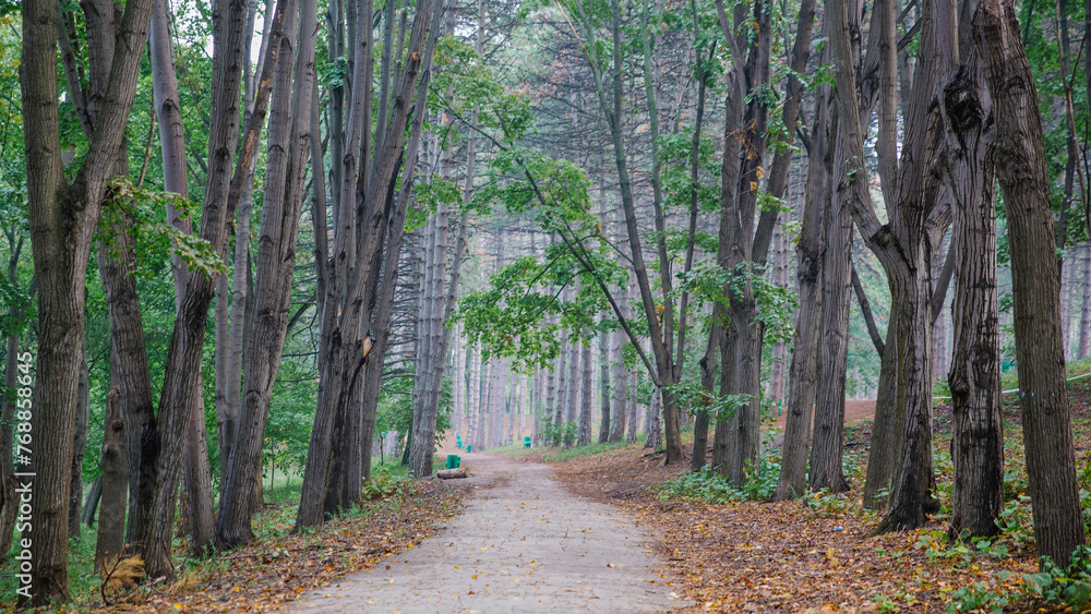 Fototapeta premium chisinau, republic of moldova, fog in the city
