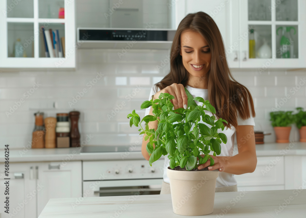Happy woman pluck off basil leaves from plant in the pot on the white kitchen background