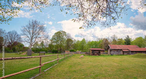 recreational area Umweltgarten Neubiberg, at springtime. park with farm animals