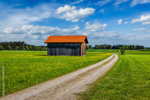 Rural road in summer meadow with wooden shed. Bavaria, Germany