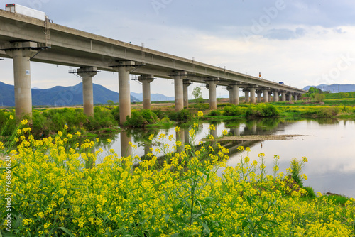 a canola-flowered view of the river photo