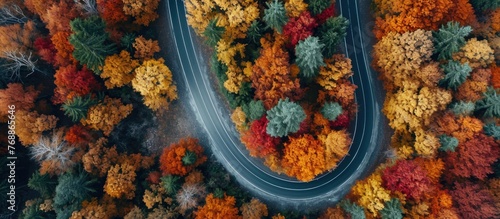Beautiful autumn nature colors seen from an aerial view on the Domanic road in Inegol.
