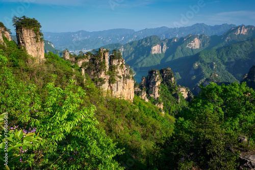 Famous tourist attraction of China - Zhangjiajie stone pillars cliff mountains on sunset at Wulingyuan  Hunan  China