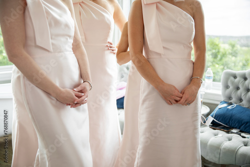 Bridesmaids in Pink Dresses photo