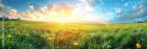 A bright sun shines on the green grass  yellow wildflowers of daisies blooming on blue sky background.A beautiful spring summer meadow..banner