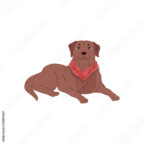 Chocolate Labrador Retriever on an isolated background.