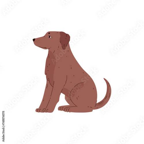 Labrador retriever sitting vector illustration  cute young friendly pet side view  cartoon brown dog isolated on white