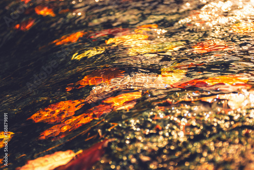 Leaves in the river water flow closeup