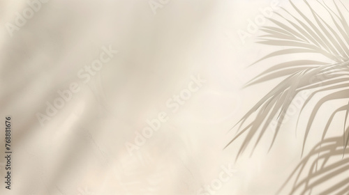 Tropical palm leaf shadow background wall, used for product display, advertising display, summer sample display,Minimalist poster banner background