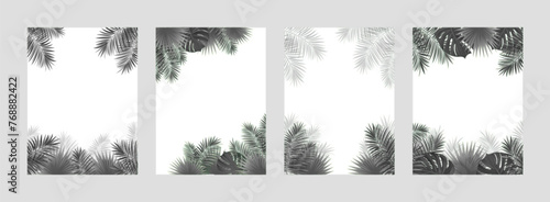 tropical covers vector collection. Black and white tropic border frames with amazon rainforest plants, exotic leaves. Vertical posters idea for travel, advertising card, beauty and fashion designs.