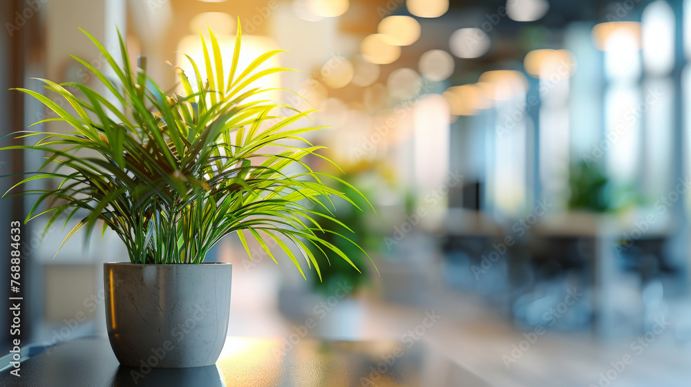 Fototapeta premium Blurred office interior background with panoramic windows and light from the window with green plant. Blurred office space with a business concept banner template 
