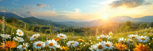 A beautiful spring summer meadow Chamomile flowers. Natural colorful panoramic landscape with many wild flowers of daisies against blue sky.banner © Nice Seven