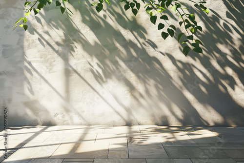 The shadow of the tree on the white wall with sunlight and shadow.