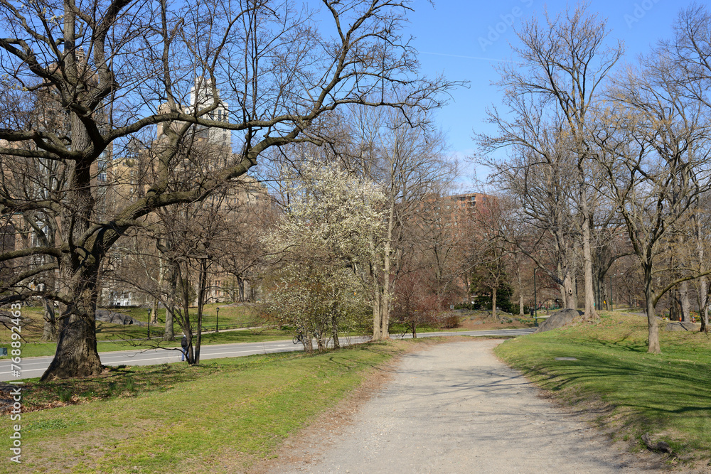 Sunny day in spring Central Park, New York City, United States