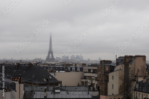 Paris panoramic view