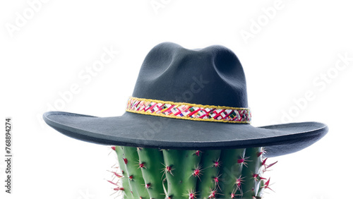 Cactus in a sambrero hat, Mexican , real illustration, png on transparent background photo