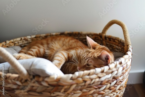 orange tabby sprawled in deep wicker basket with cushion
