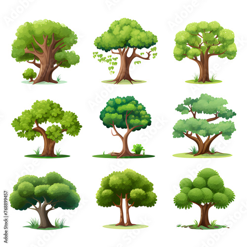 Set of plants, various, summer, watercolor vector transparent background