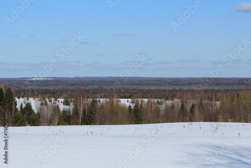 Wallpaper Mural snow covered trees Torontodigital.ca
