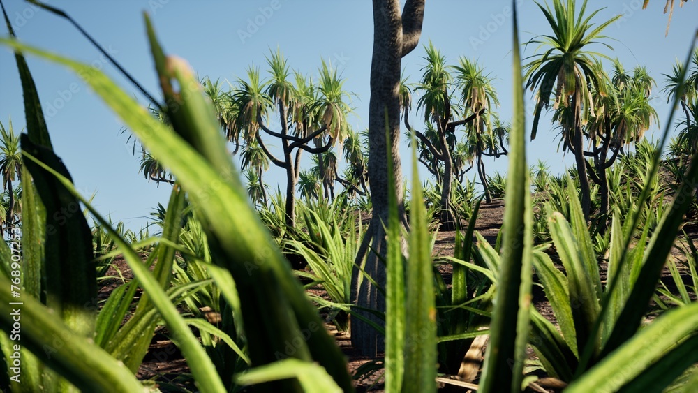 3D RENDER PANDAN TREES IN SUMMER ON THE GREEN PLATEAU LANDSCAPE 3D RENDER PANDAN TREES IN SUMMER ON THE GREEN PLATEAU LANDSCAPE