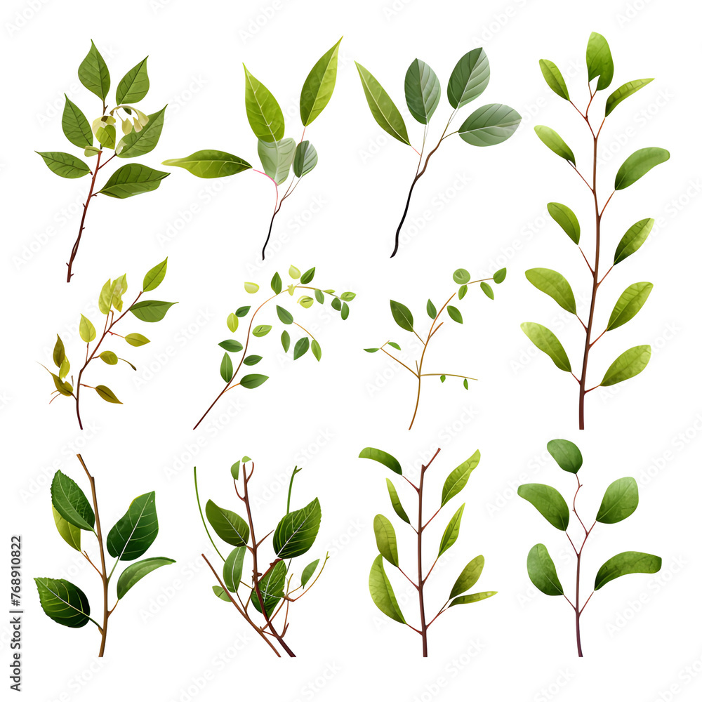 Set of creeping vines, branches and leaves, watercolor vector transparent background Set of creeping vines, branches and leaves, watercolor vector transparent background