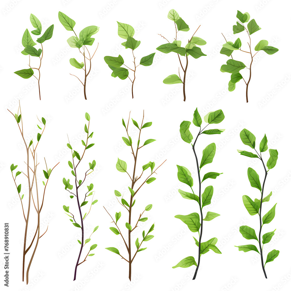 Fototapeta premium Set of creeping vines, branches and leaves, watercolor vector transparent background