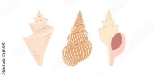 Set with beige spiral shell isolated on white background. Hand drawn in minimalistic style.