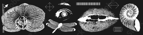 Grunge grain mouth, orchid, eye, dragonfly, shell with photocopy effect in an anti-design style. Set of different grungy elements for graphic design. Negative Vector illustration.