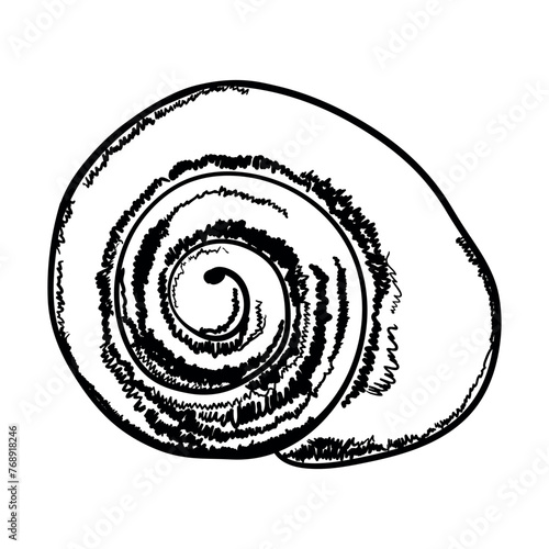 Seashell isolated on white. Modern creative line art graphics.Vector illustration.