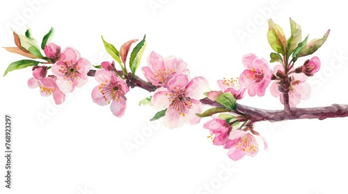 Wallpaper Mural watercolor illustration of blooming peach tree branch, isolated on white background Torontodigital.ca