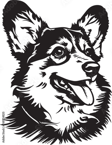 Welsh corgi dog vector illustration