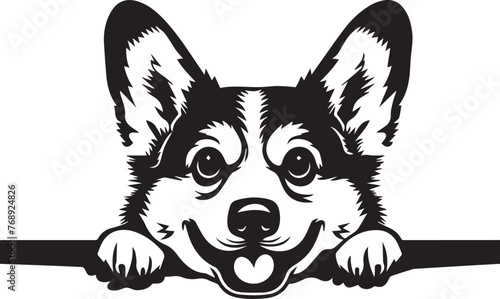 illustration of peeking cute corgi dog