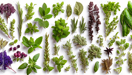 Variety of medicinal plants, each with their unique healing properties, beautifully isolated against a  white background, symbolizing nature’s pharmacy