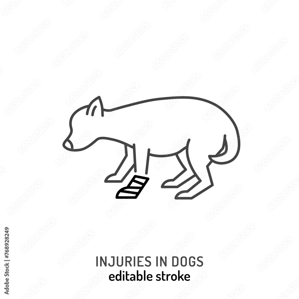 Obraz premium Injuries in dogs. Leg trauma icon, pictogram, symbol.